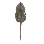 Vickerman H8KPS000 Natural Botanicals 21" Natural King Palm Spear. Includes 10 Pieces Per Bunch.