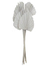 Vickerman H8KPS900 Natural Botanicals 21" White Washed King Palm Spear. Includes 10 Pieces Per Bunch.