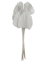 Vickerman H8KPS900 Natural Botanicals 21" White Washed King Palm Spear. Includes 10 Pieces Per Bunch.