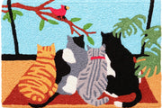 Nature-Inspired Bird Lovers Doormat – Cheerful Accent Rug