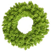 Vickerman K168636 36" Flocked Lime Fir Artificial Christmas Wreath Unlit