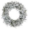 Vickerman K173524 24" Flocked Kiana Artificial Christmas Wreath Unlit