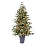 Vickerman K190751LED 5' X 41" Potted Timberline Pine Artificial Christmas Tree Warm White Dura-Lit LED Lights
