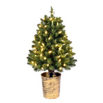 Vickerman K191126LED 26" Potted Tifton Cone Topiary Artificial Christmas Tree Warm White Dura-Lit LED Lights