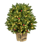 Vickerman K191826LED 2.5' X 28" Potted Tifton Globe Artificial Christmas Tree Warm White Dura-Lit LED Lights