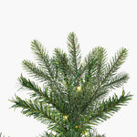 Vickerman 9' x 50