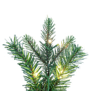 Vickerman K224325LED 24