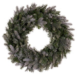 Vickerman K224724 24" Frosted Douglas Fir Artificial Unlit Wreath.