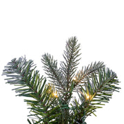 Vickerman K224763LED 60