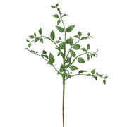 Vickerman L153604 22