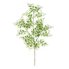 Vickerman L186373 22" Lime Glitter Mini Ruscus Leaf Artificial Christmas Spray. Includes 12 Sprays Per Pack.