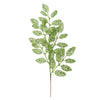 Vickerman L186473 22" Lime Glitter Loral Leaf Artificial Christmas Spray. Includes 12 Sprays Per Pack.