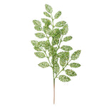 Vickerman L186473 22" Lime Glitter Loral Leaf Artificial Christmas Spray. Includes 12 Sprays Per Pack.