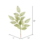 Vickerman L190513 27