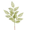 Vickerman L190513 27" Lime Glitter Bay Leaf Lace Artificial Christmas Spray. Includes 12 Sprays Per Pack.