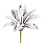 Vickerman LF201173 6-8" Artificial Frosted Succulents Pack Of 3