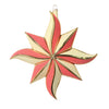 Vickerman MT202106 7.5" Coral 8 Point Star Pastel Christmas Ornament Pack Of 2
