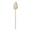 Vickerman N197238 24" X 7" Champagne Matte Glitter Pinecone Aritificial Christmas Stick 4 Per Set