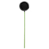 Vickerman N223117SV 4" X 18" Black Shiny Ball Ornament Stick 6 Per Bag.