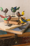 Set of 5 Multicolor Recycled Metal Birds – Sustainable Art by Kalalou