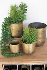 Antique Brass Metal Pots – 4-Piece Planter Set by Kalalou
