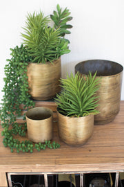 Antique Brass Metal Pots – 4-Piece Planter Set by Kalalou