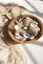 Beach-Inspired Coastal Filler – 9.45" Tall Natural Decor Set of 6 by Kalalou