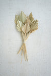 Bundle of 12 Mini Palm Spears – 20" Tall Dried Decorative Stems by Kalalou
