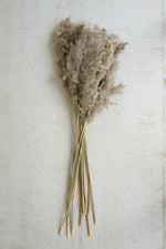 Large Bundle of Natural Pampas Grass – 39" Tall Dried Decorative Stems by Kalalou