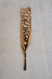 Bag of 20 White Sola Bell Stems for Floral Arrangements