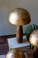 Handcrafted Brass Mushrooms – Tabletop Decorative Sculptures