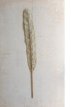 Woven Natural Kejur Leaf in Vase Display