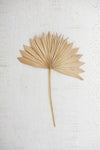 Large natural sun palm spear by Kalalou