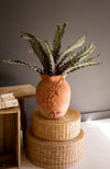 Terracotta vase with a plant on top of woven boxes against a neutral background