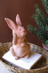 Wooden rabbit figurine on an open book with a plant in the background
