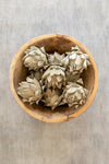 Wooden bowl filled with dried white flowers on a textured beige background