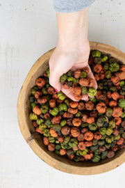 Mini Pumpkin Pods – Natural Orange and Green Decorative Filler