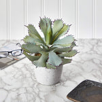 Nearly Natural P1517 11” Succulent Artificial Plant