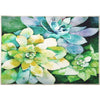 Olivia's Home Succulent Garden Doormat – Botanical Indoor Accent Rug, 22" x 32"