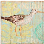 Olivia's Home Nautical Sandpiper Entry Doormat – 22
