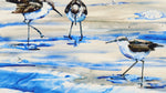 Seaside Sandpipers Doormat by Olivia's Home – 22
