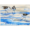 Sandpipers on the Shore Indoor Mat – Coastal Entryway Accent