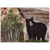 Cabin Bear Doormat – 22x32 Lodge Style Entry Rug for Rustic Mountain Homes