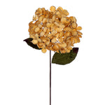 Vickerman QG212308 17" Artificial Gold Hydrangea Christmas Spray 3 Per Bag