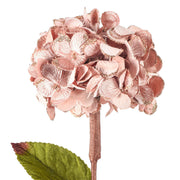 Vickerman QG212358 17