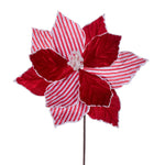 Vickerman QG213312 17" Artificial Red And White Striped Poinsettia Christmas Stem 5 Per Bag