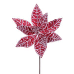 Vickerman QG214512 17" Artificial Red And White Frosted Poinsettia Christmas Stem 4 Per Bag