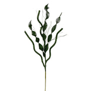 Vickerman QG223834 34