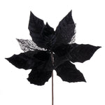 Vickerman QG227917 11" Black Velvet And Glitter Mesh Poinsettia Flower On Stem 6 Per Bag.