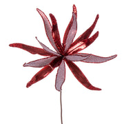 Vickerman RG221765 24